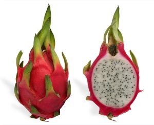 Pitaya (Hylocereus undatus) cc_S Masters wikip